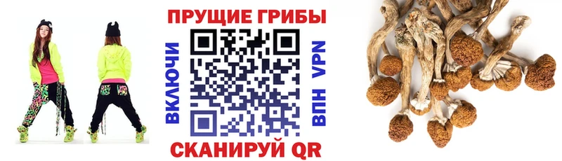 МЕГА ссылка  Чехов  Псилоцибиновые грибы ЛСД 